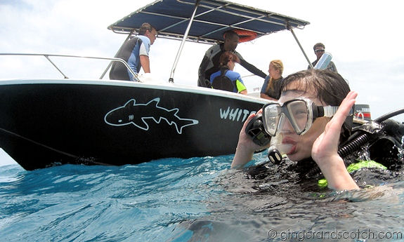 White Tip Divers 1 White Tip Divers