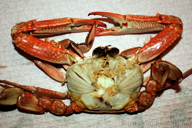 Boiled Crab Boiled Crab