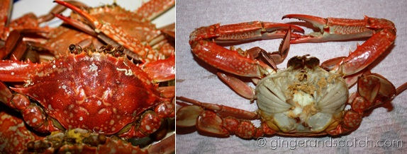 Cooked Crab Left: Cooked Crab; Right: Shelled Crab