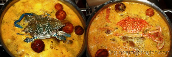 Crab being cooked Left: Uncooked Crab; Right: Almost Cooked Crab