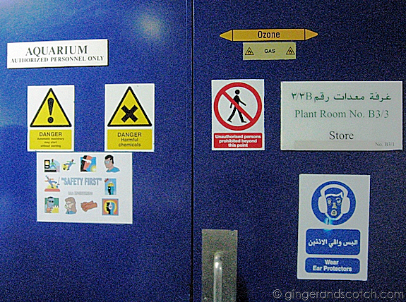 Entrance to Aquarium Offices Entrance to Aquarium Offices