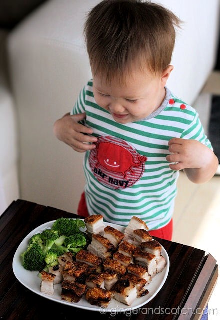 Wee Scotch thinks all the pork belly is for him Wee Scotch thinks all the pork belly is for him