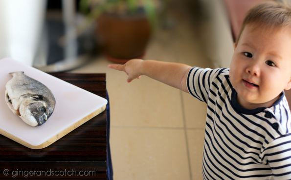 Wee Scotch inspecting fish Wee Scotch inspecting fish