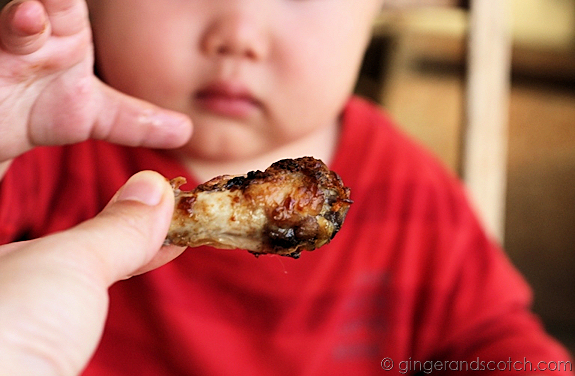 Wee Scotch Finally Allowed to Have Some Wings Wee Scotch Finally Allowed to Have Some Wings