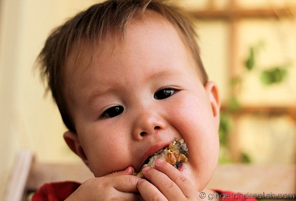 Wee Scotch Devouring His Wings Wee Scotch Devouring His Wings