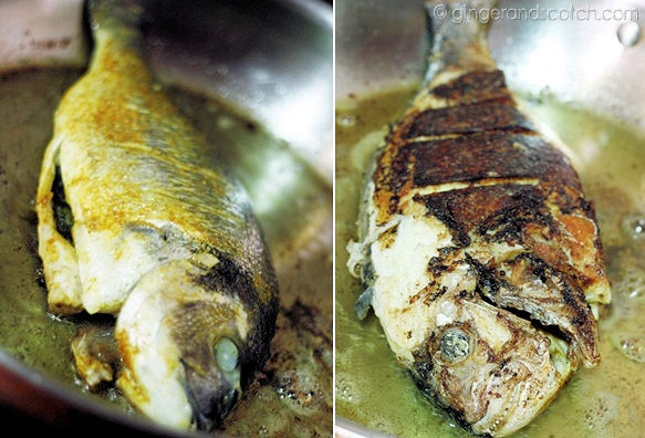 fried fish fried fish