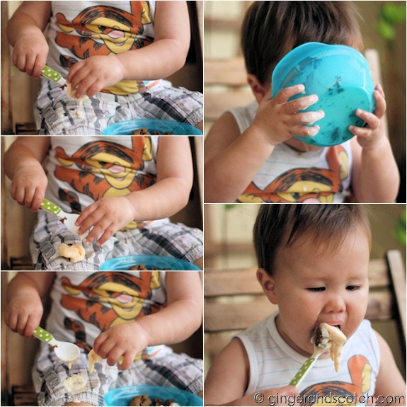 Wee Scotch and his ice cream