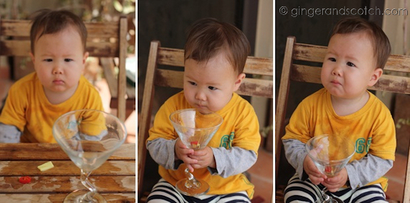 Ginger and Scotch Chilli Martini Ginger and Scotch Chilli Martini