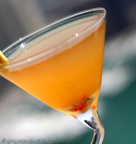 Ginger and Scotch Chilli Martini