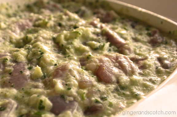 chicken in marinade chicken in marinade