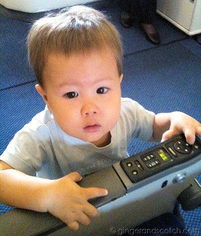 Wee Scotch on Plane Wee Scotch on Plane