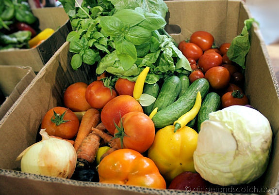 Bumble Box Contents Bumble Box Contents