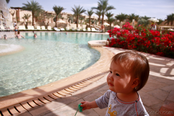 Qasr Al Sarab Qasr Al Sarab