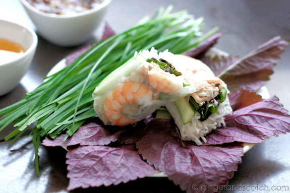 Vietnamese Summer Rolls Vietnamese Summer Rolls
