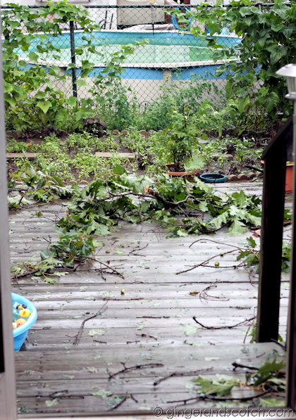 After the Storm After the Storm