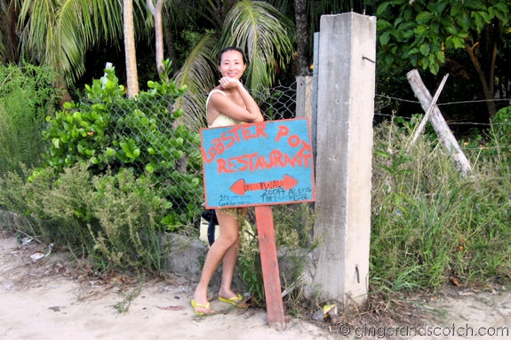 Lobster Pot Lobster Pot