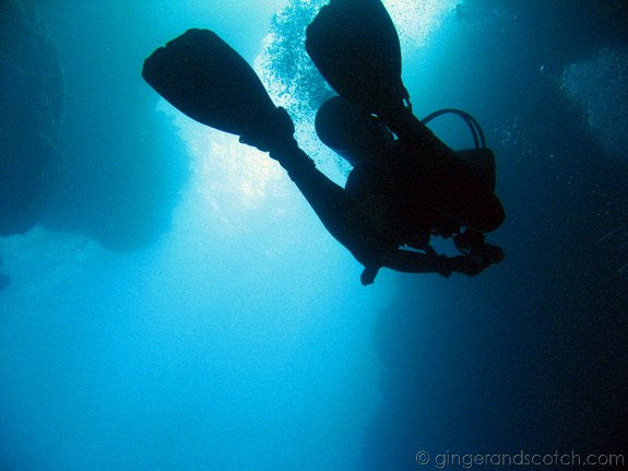 View from "Spooky Channel" View from "Spooky Channel"