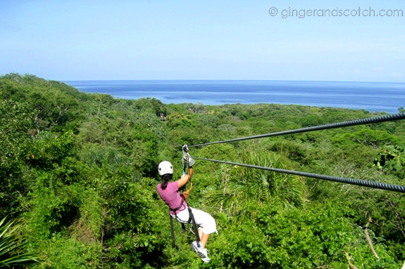 zip-lining in Roatan zip-lining in Roatan