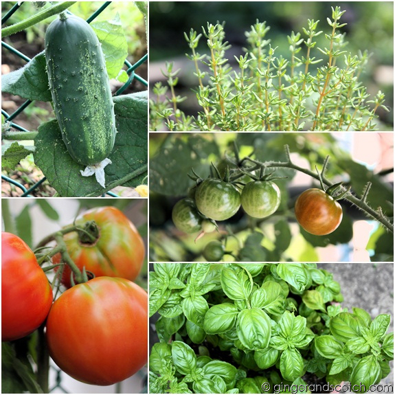 Mom's Garden 2 Mom's Garden 2