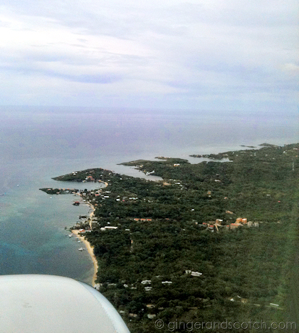 View from plane View from plane