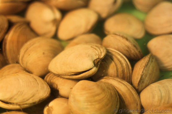 Clams soaking in fresh water for 30 minutes