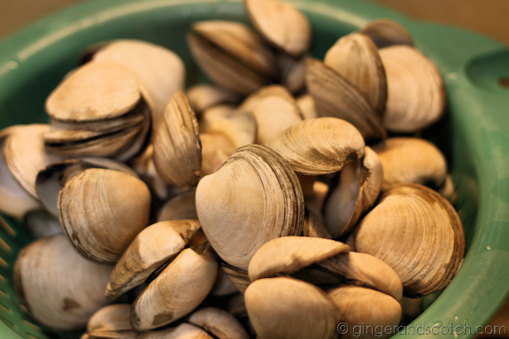 Drained clams