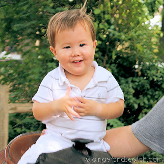 Wee Scotch riding pony