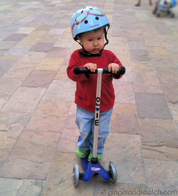 Wee Scotch on Scooter Wee Scotch on Scooter