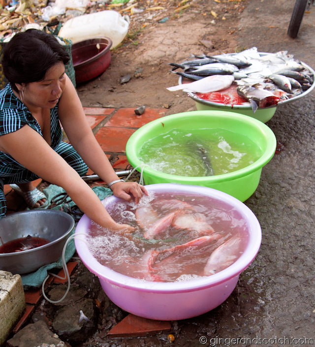 The Mekong Fish Vendor