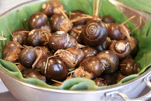 Oc - Snails Oc - Snails