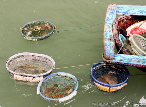 Seafood stall Seafood stall