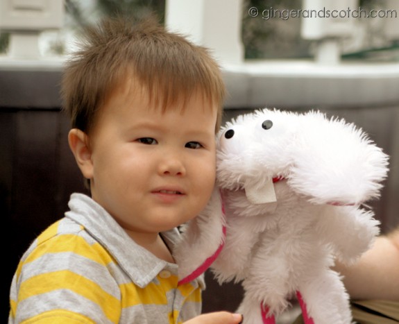 George the Bunny George the Bunny