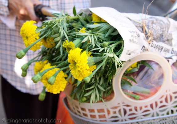 Hoi An - marigolds Hoi An - marigolds