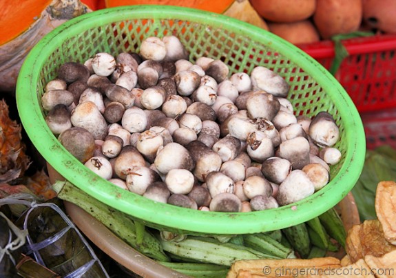 Hoi An Market - Straw Mushrooms Hoi An Market - Straw Mushrooms