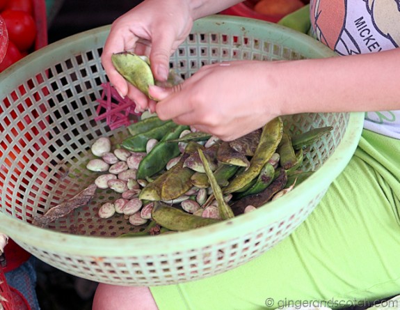 Hoi An Market - Beans Hoi An Market - Beans
