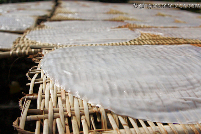 Mekong - rice paper 3 Mekong - rice paper 3