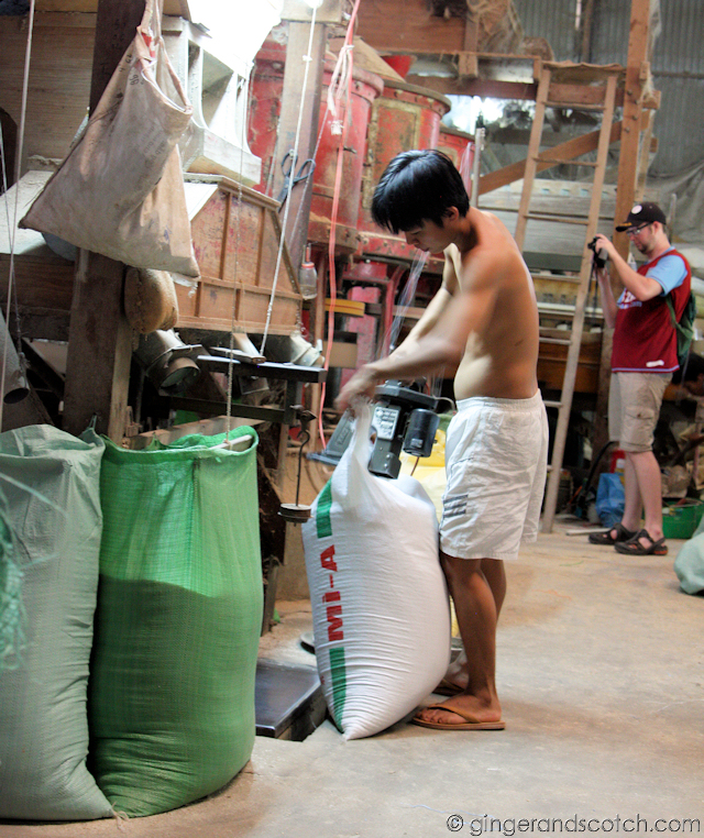 Mekong - Rice Mekong - Rice