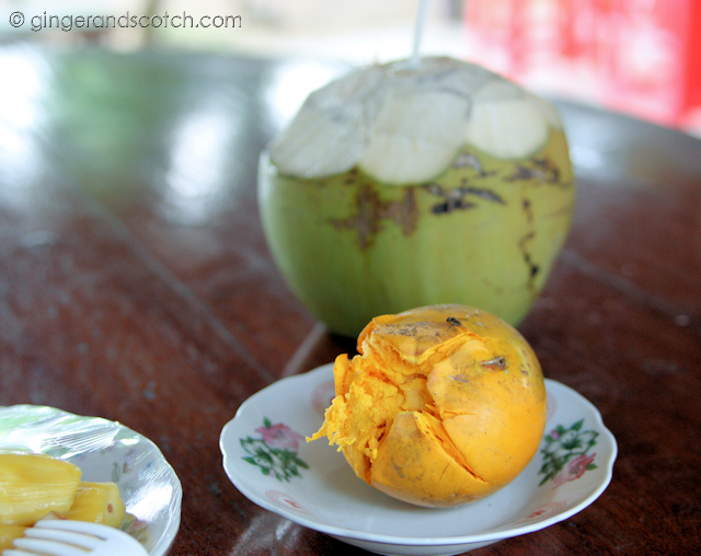 Exotic Fruit 2 Exotic Fruit 2