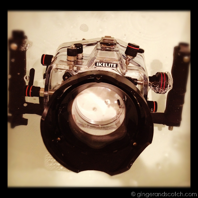 Ikelite DSLR housing for Canon 450D Ikelite DSLR housing for Canon 450D