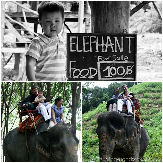Elephant Riding, Koh Lanta, Thailand Elephant Riding, Koh Lanta, Thailand