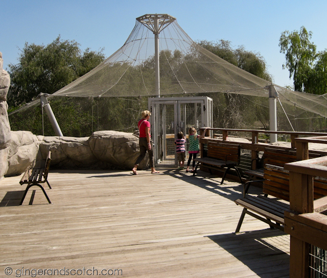 Al Ain Zoo - aviary Al Ain Zoo - aviary