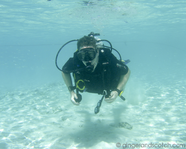 Maldives Scuba Diving Maldives Scuba Diving