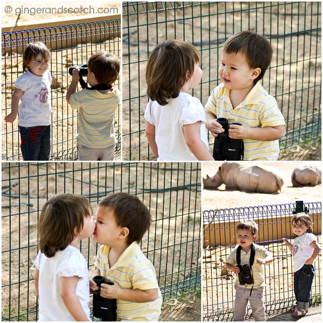 Al Ain Zoo 1 Al Ain Zoo