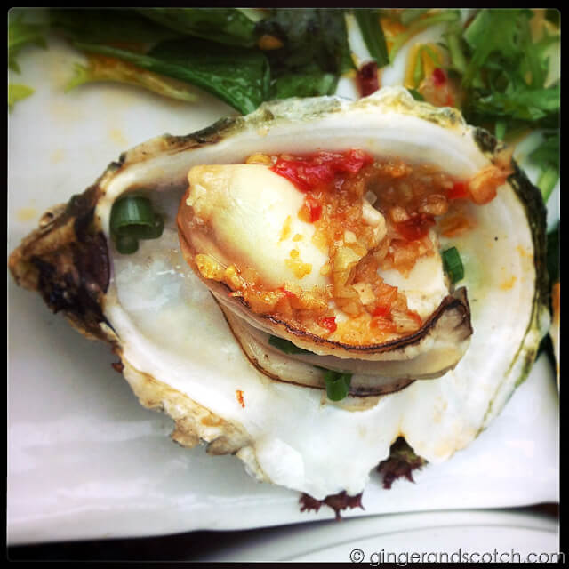 Huge Grilled Oysters @ ? 8 ?