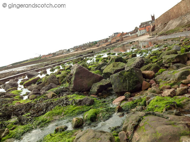 Running along Dunbar Coast