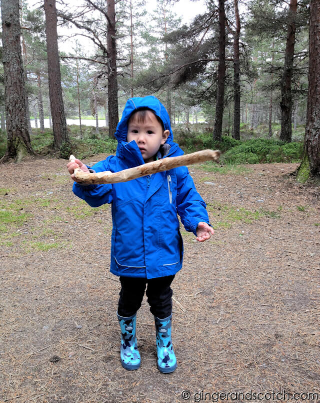 Wee Scotch with his Adventure Stick