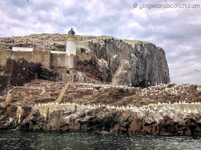 Bass Rock