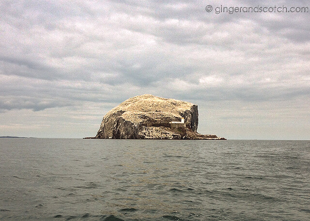 Bass Rock from boat