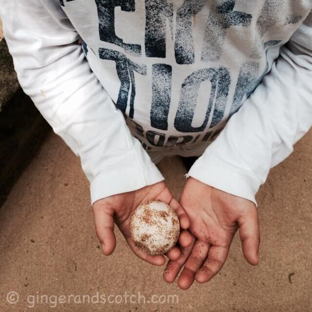 Sri Lanka Turtle Hatchery Sri Lanka Turtle Hatchery