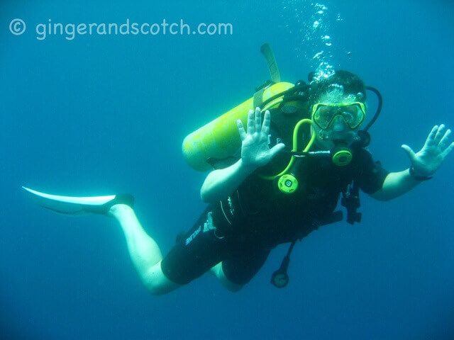 Diving Sri Lanka Diving Sri Lanka